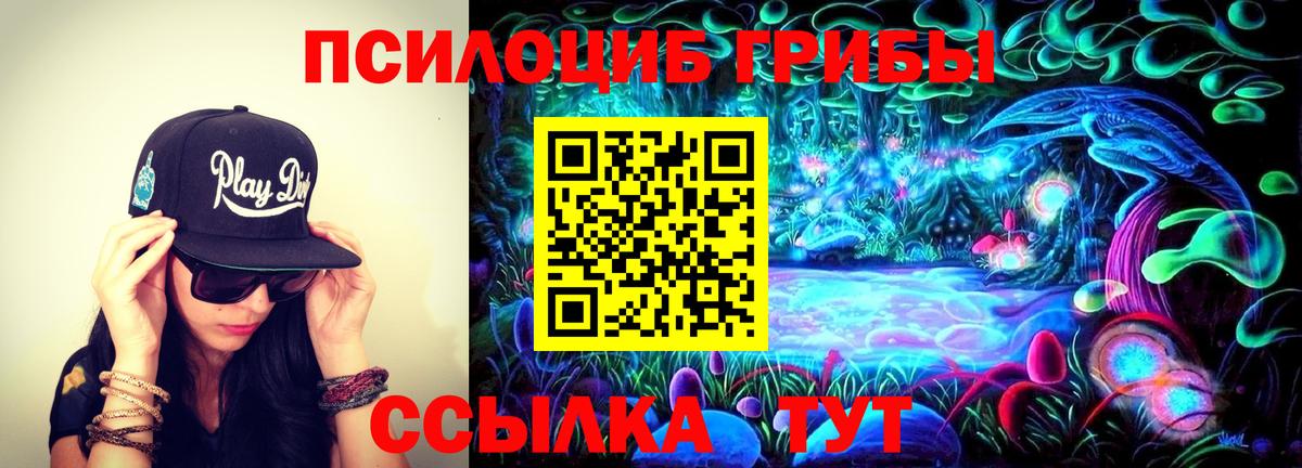 Галлюциногенные грибы Psilocybine cubensis  Вход с VPN  Галлюциногенные грибы Psilocybe  Лосино-Петровский 